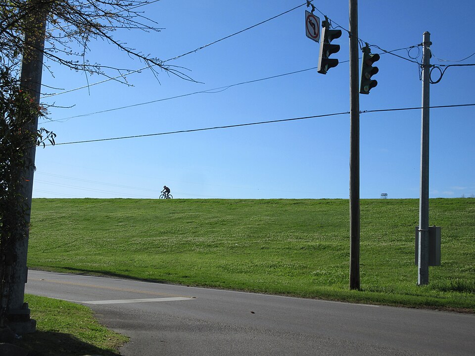 Illustration: Rennrad für ältere Fahrer: Welche Anpassungen sind 2026 wirklich wichtig?
