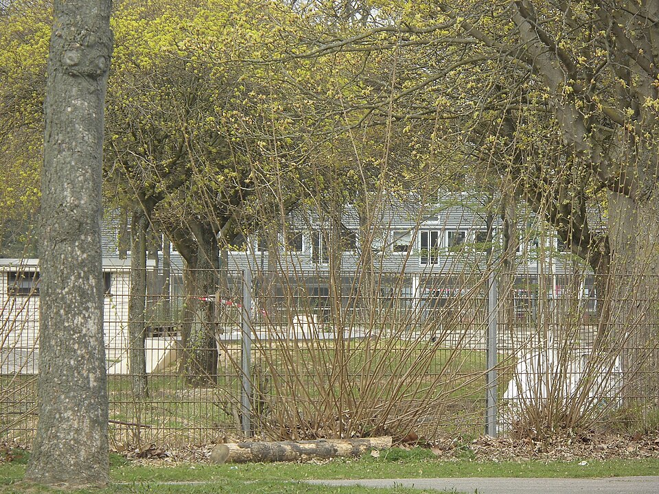 Illustration: Wie periodisiert man das Training im Bahnradsport?